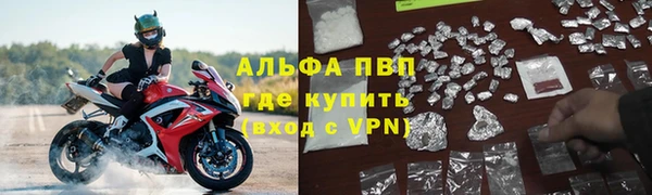 сатива Балахна