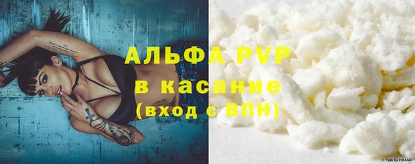 сатива Балахна