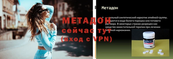 сатива Балахна
