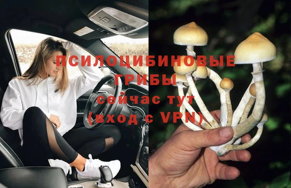 MESCALINE Баксан