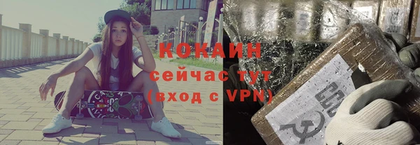 сатива Балахна