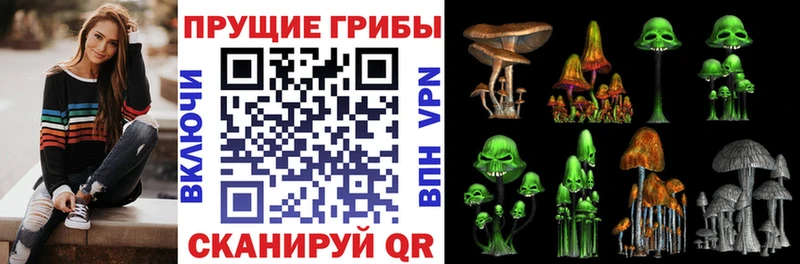 сколько стоит  Магас  Псилоцибиновые грибы прущие грибы 